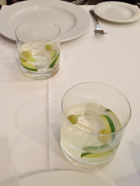Stephen_Anderson_Seu_Xerea_vermut